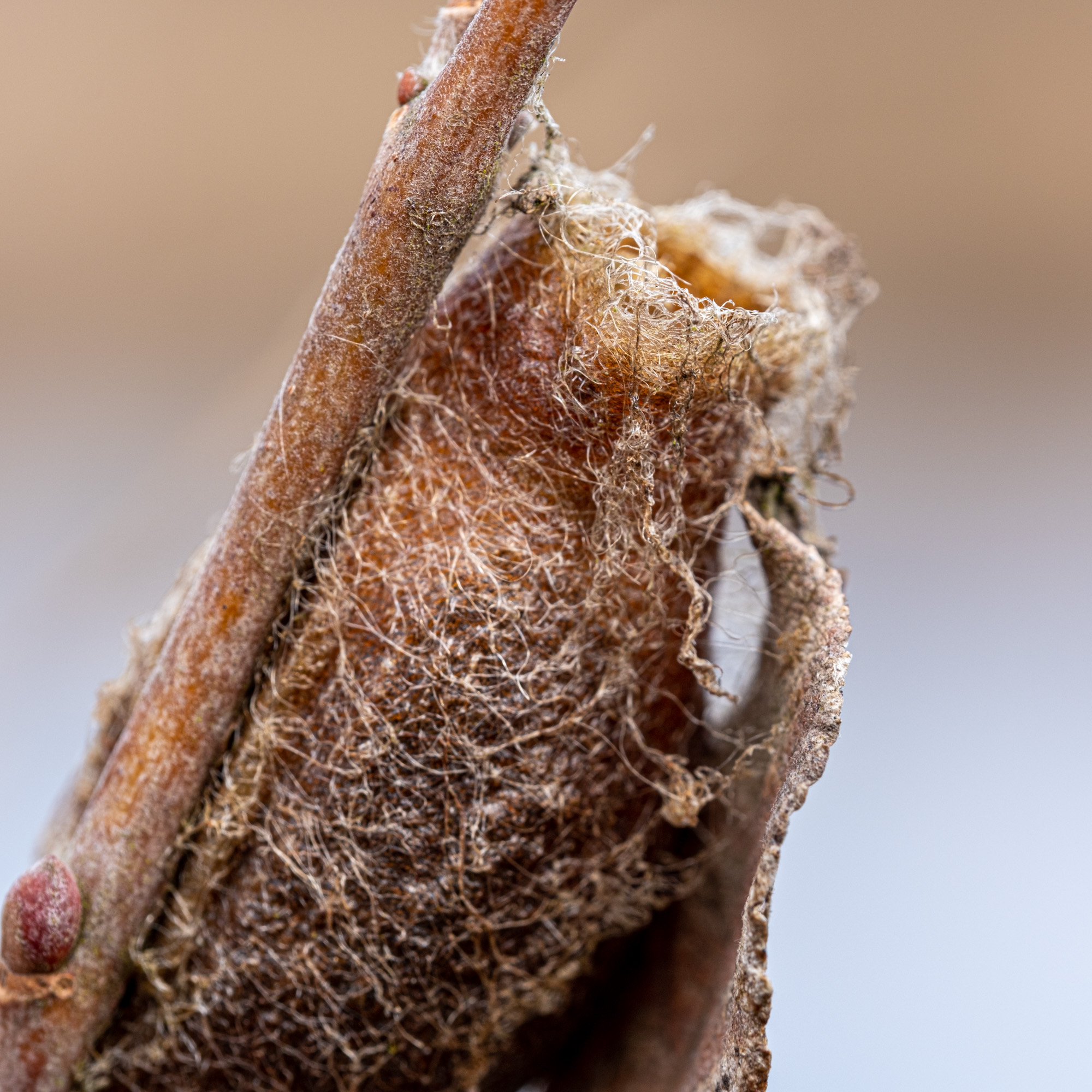 2023 03 18  xt 5   2665